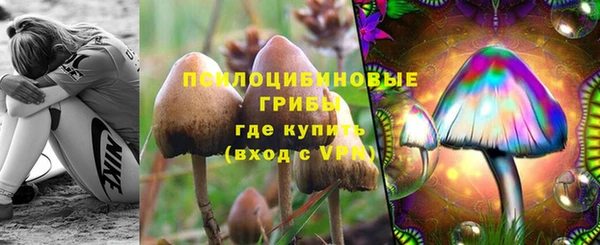 каннабис Алзамай